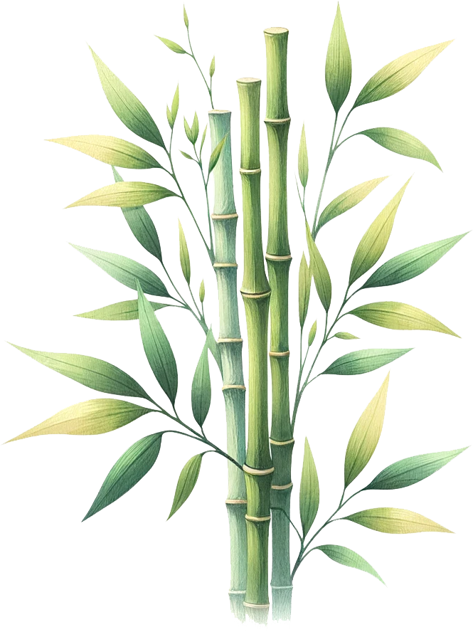 Egy kép bambuszokról